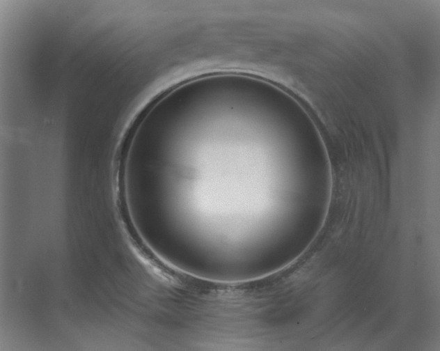 X0000071351511200606261328