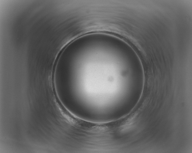 X0000071351513200606261328