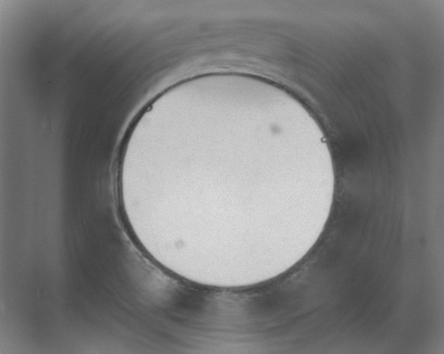 X0000071351514200606261328