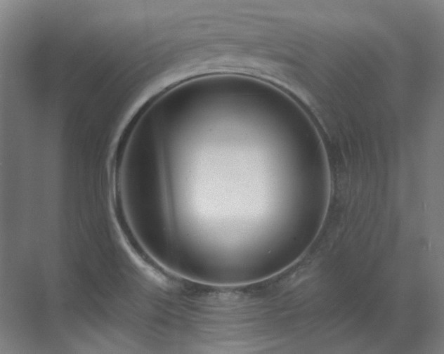 X0000071351515200606261328