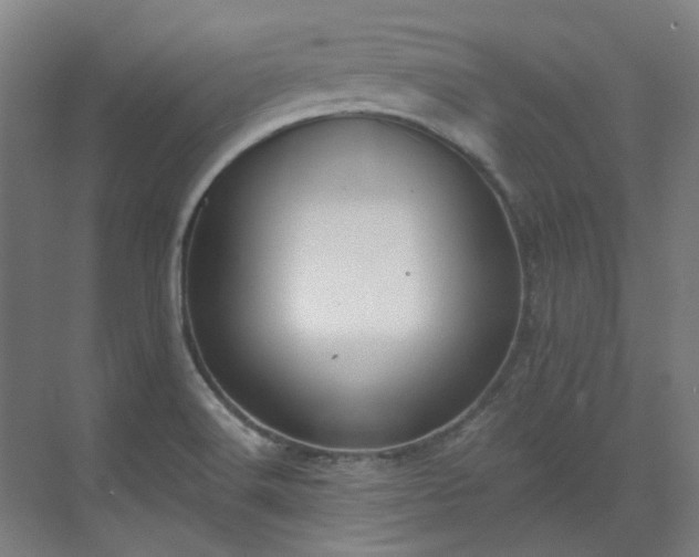 X0000071351516200606261328