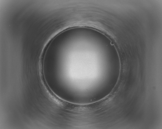 X0000071351517200606261328