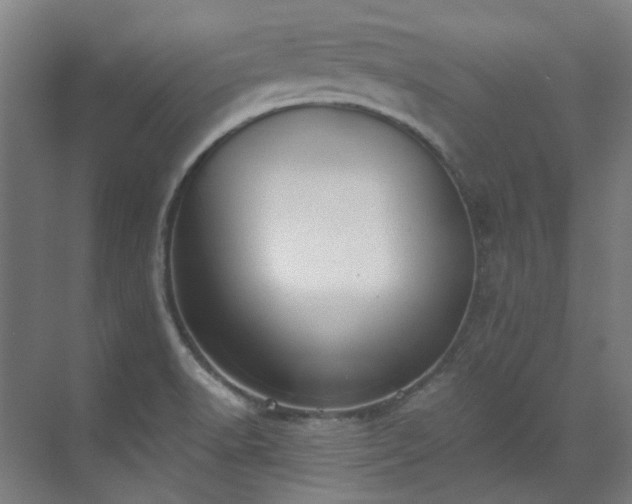 X0000071351518200606261328