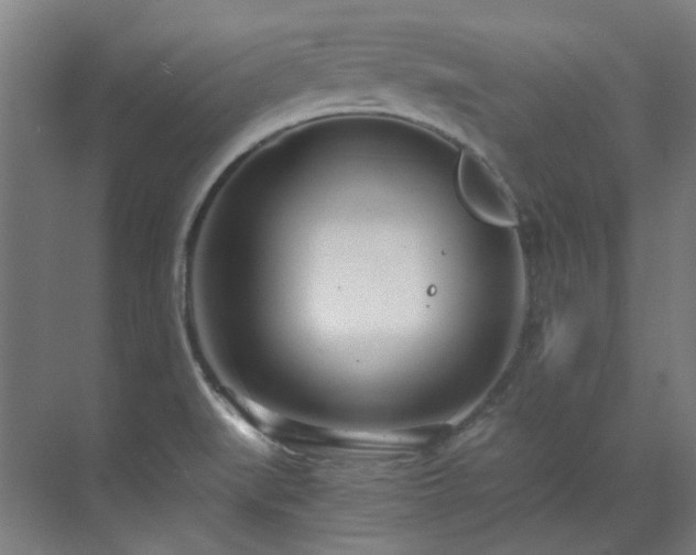 X0000071351519200606261328