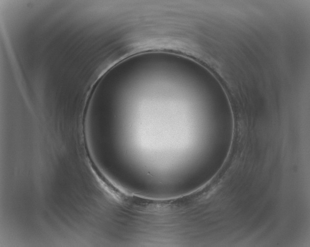 X0000071351521200606261328