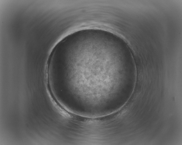 X0000071351522200606261328