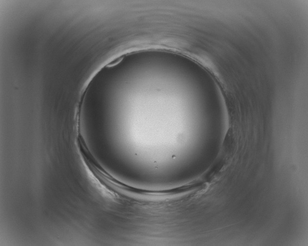 X0000071351524200606261328