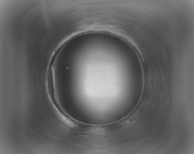 X0000071351525200606261328