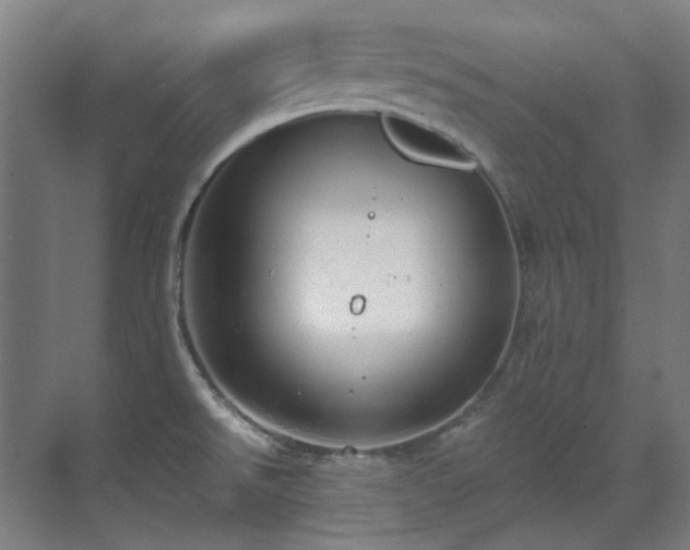 X0000071351526200606261328