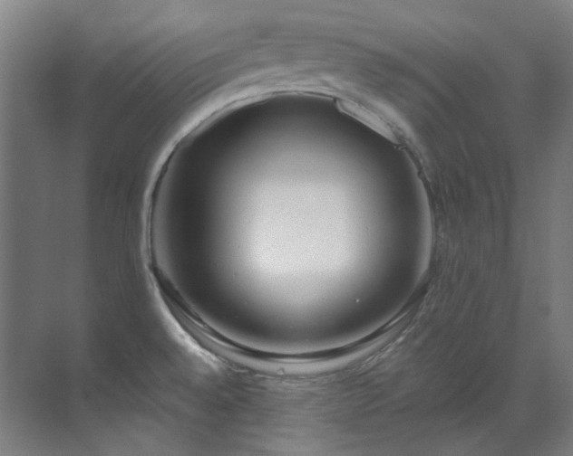 X0000071351528200606261328