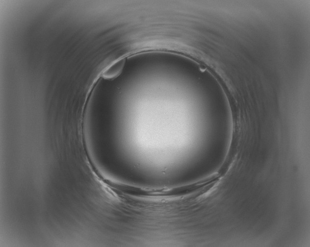 X0000071351529200606261328