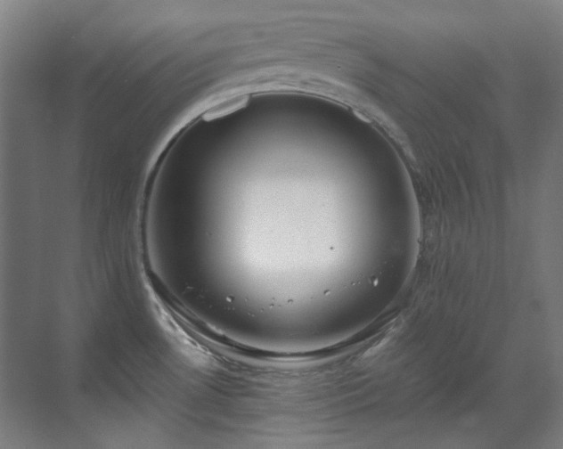 X0000071351530200606261328