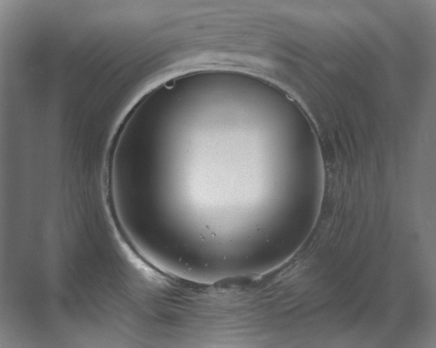 X0000071351531200606261328