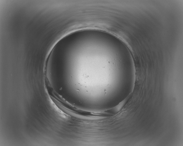 X0000071351532200606261328