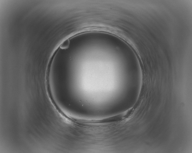 X0000071351533200606261328