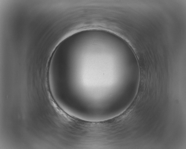 X0000071351534200606261328