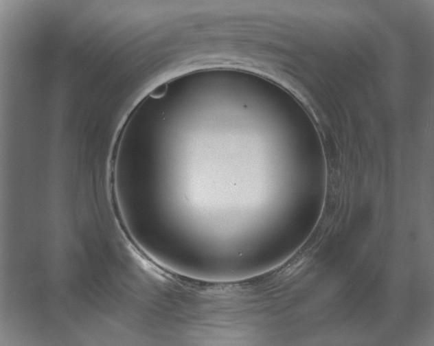 X0000071351535200606261328