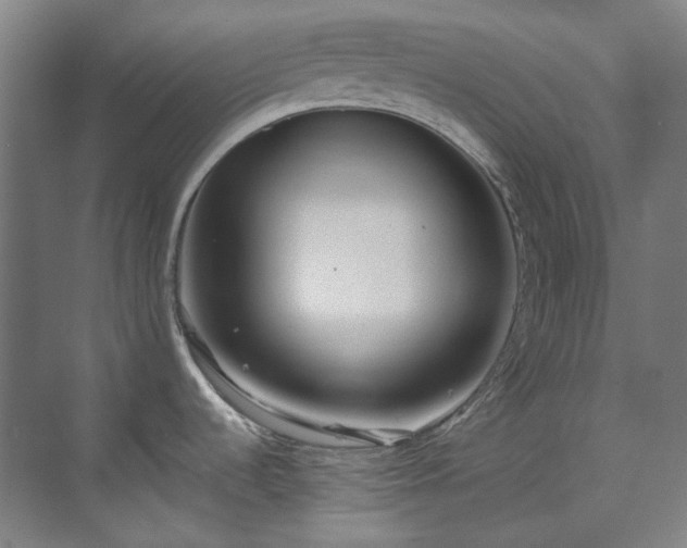 X0000071351536200606261328