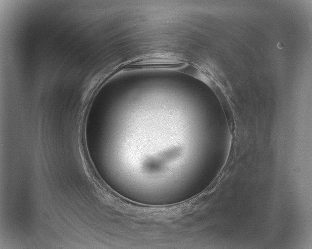 X0000071350001200606301704