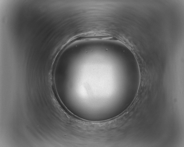 X0000071350002200606301704