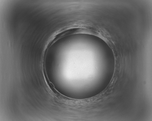 X0000071350003200606301704