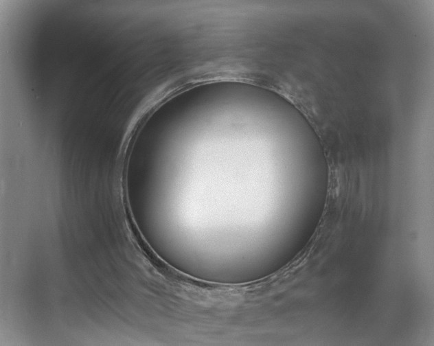 X0000071350004200606301704