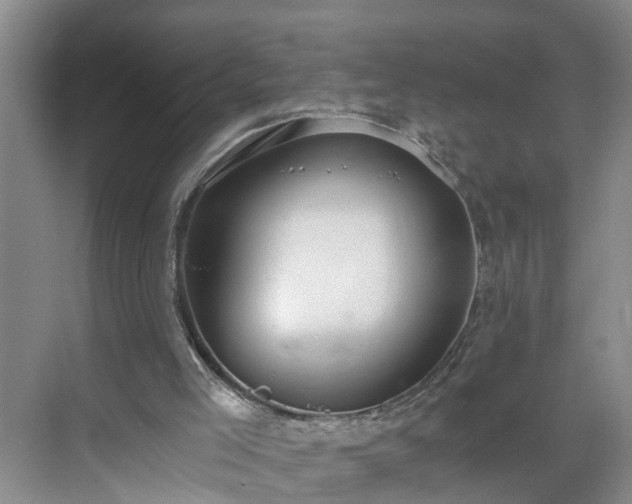 X0000071350005200606301704