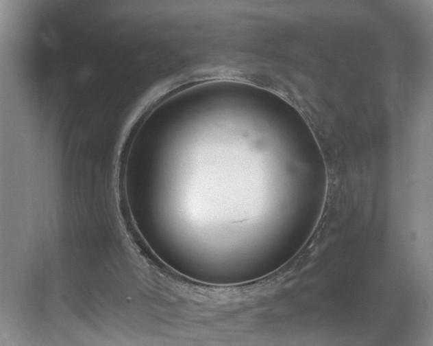 X0000071350006200606301704