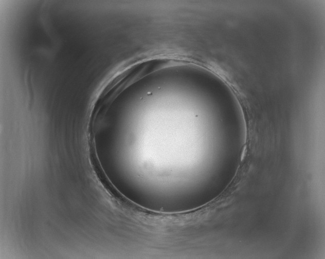 X0000071350007200606301704