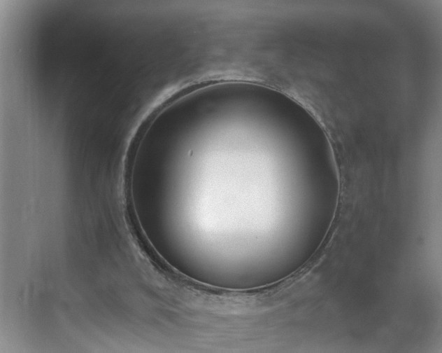 X0000071350008200606301704