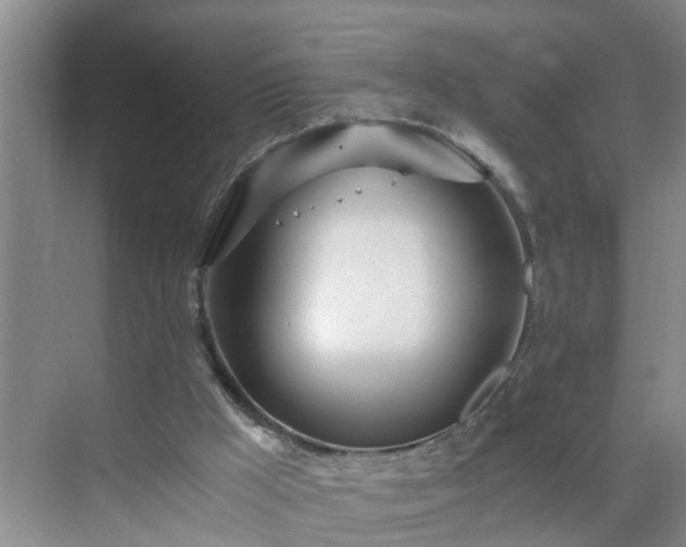 X0000071350009200606301704