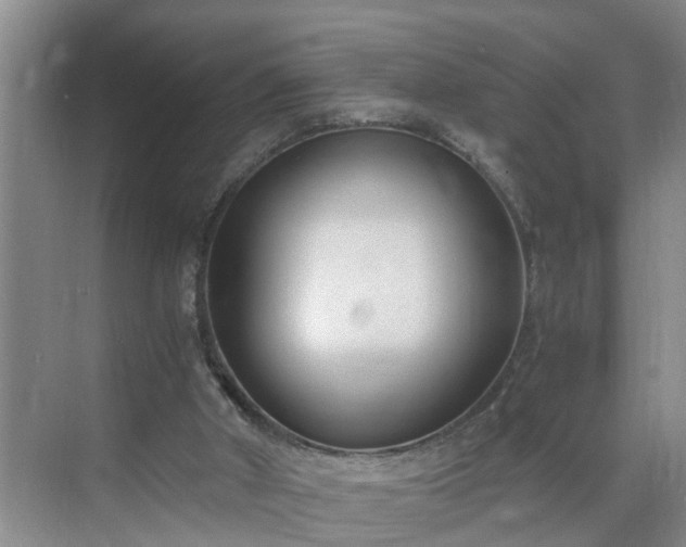 X0000071350010200606301704