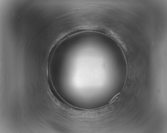 X0000071350011200606301704