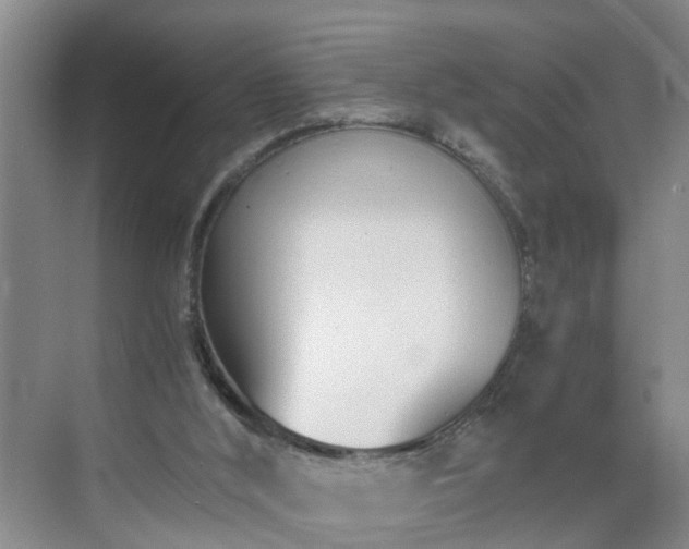 X0000071350012200606301704