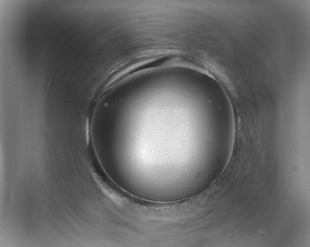 X0000071350013200606301704