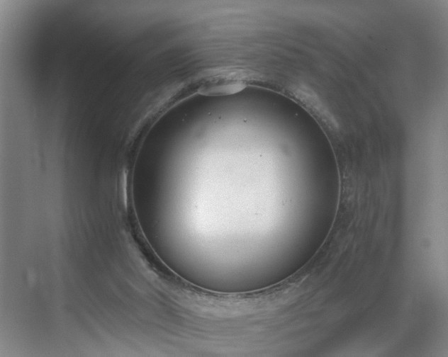 X0000071350014200606301704