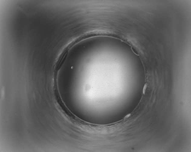 X0000071350015200606301704