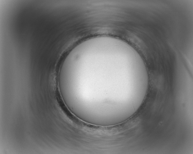 X0000071350016200606301704