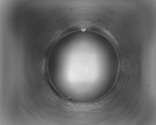 X0000071350018200606301704