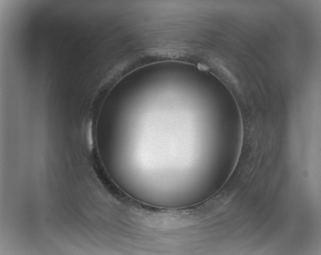 X0000071350020200606301704