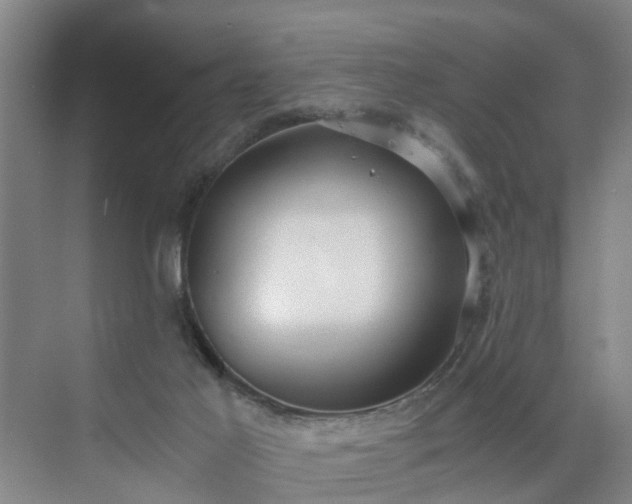 X0000071350021200606301704