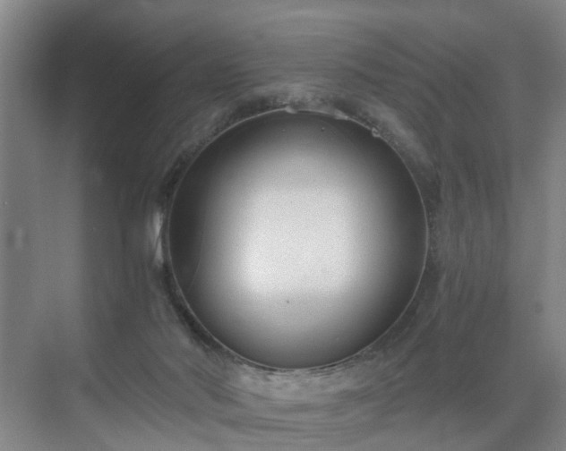 X0000071350022200606301704