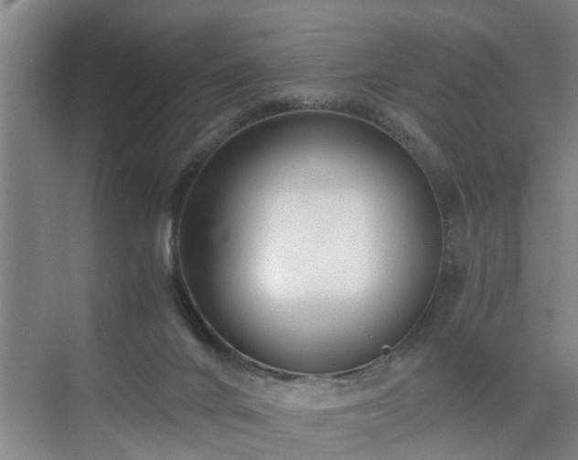 X0000071350024200606301704