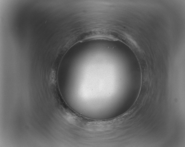 X0000071350025200606301704