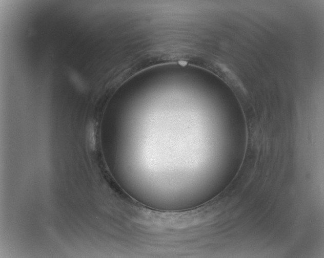 X0000071350026200606301704