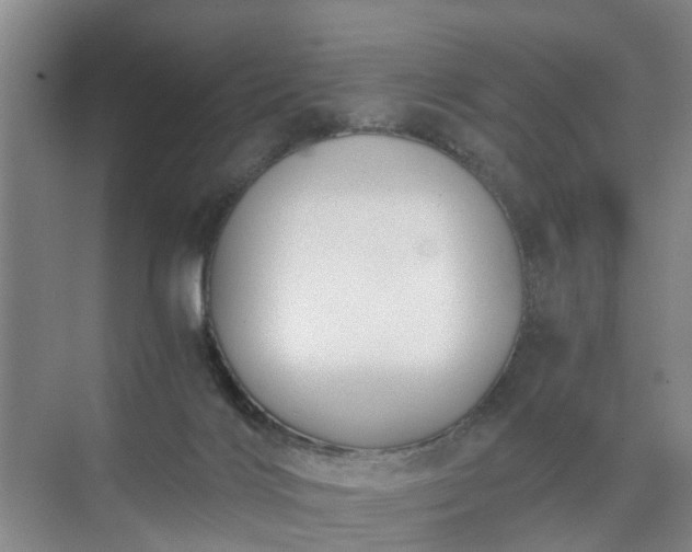 X0000071350028200606301704