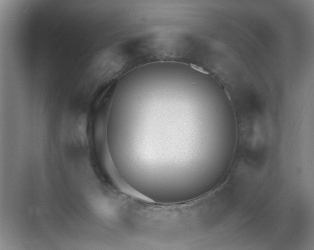 X0000071350029200606301704