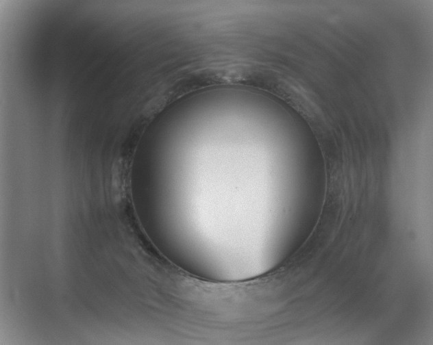 X0000071350030200606301704