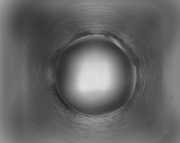 X0000071350031200606301704