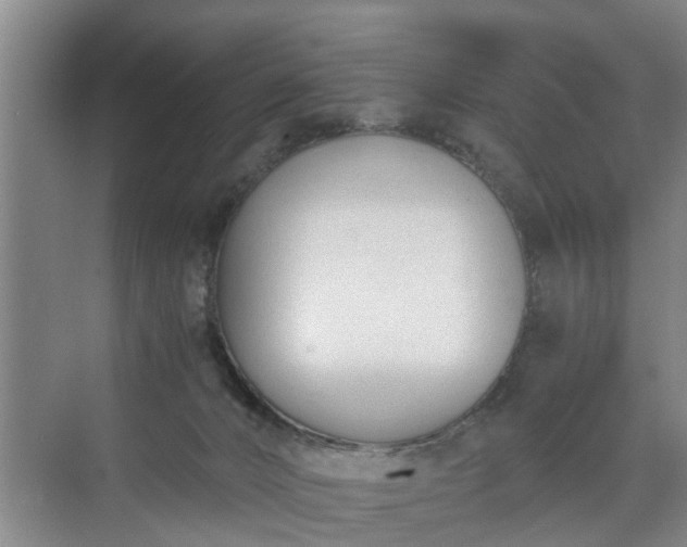 X0000071350032200606301704